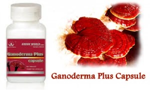 Obat Kanker Payudara Ganoderma Plus 