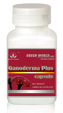 Ganoderma Plus Obat Herbal Spesialis Kanker