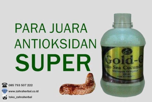 Obat Herbal Abses Anal Jelly Gamat Gold-G